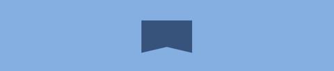 Flag shape with border using css border property
