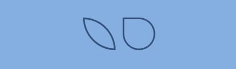 Leaves shape with border using css border property